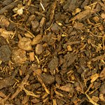 DennenschorsFijnspar