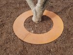 boomring_cortenstaal_sfeer
