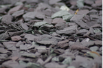 canadian_slate_zwart