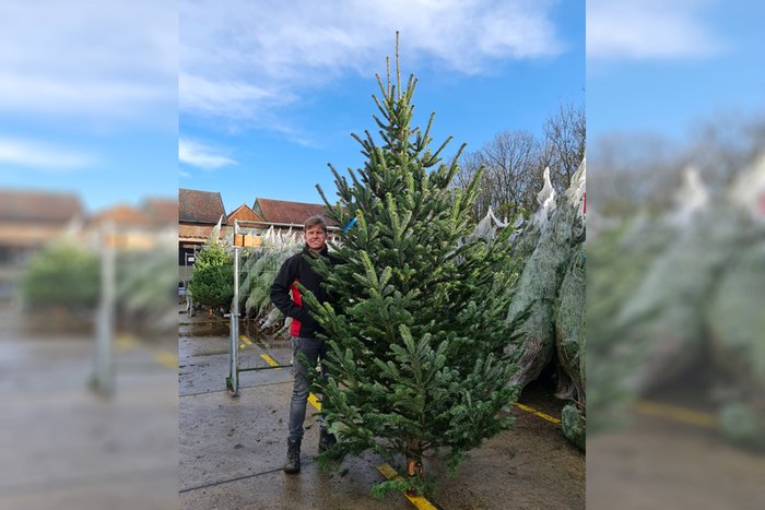 Grote Kerstboom Kopen? Bekijk Alle Aanbiedingen - Gadero.nl