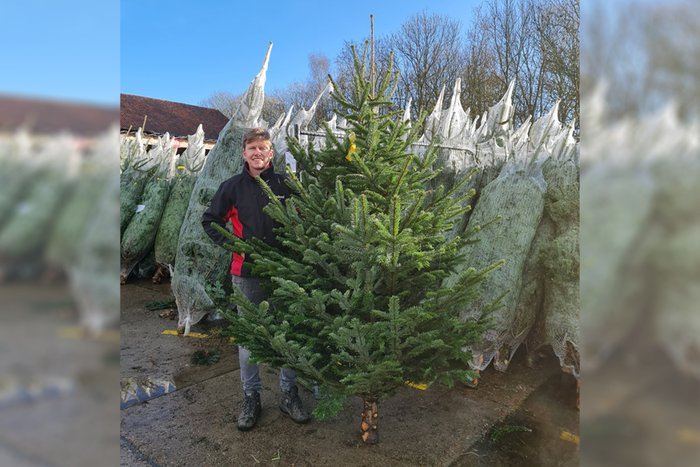 Grote Kerstboom Kopen? Bekijk Alle Aanbiedingen - Gadero.nl