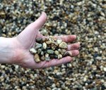 grind_8_16_mm_hand