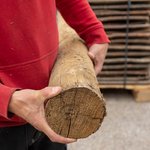 kastanje_rondhout_10_12cm_palen