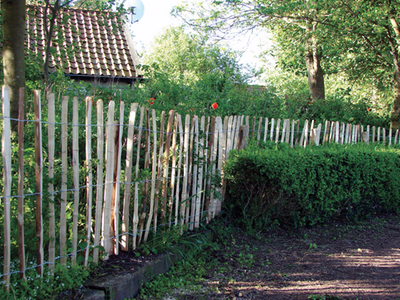 kastanjehek_engels_460cm