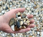 limburgs_wit_grind_8_16_mm_hand