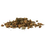 model_frans_classic_2