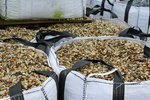 model_grind_8_16_mm_big_bag