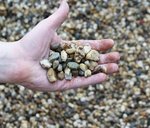 model_morane_4_16_mm_hand