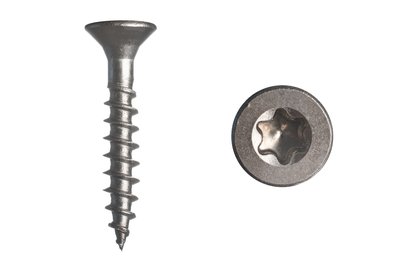 model_rvs_schroef_tx20_25mm