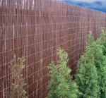 model_schermafbeelding_2016_02_02_om_231419