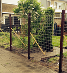 model_trellis_gaas_schutting