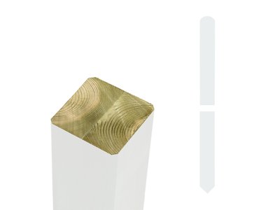 paal_ronde_kop_en_punt_0