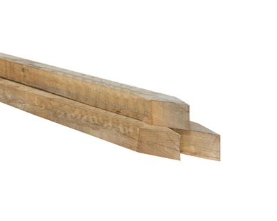 robinia_paal_bezaagd_gepunt