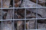 schanskorf_steenkorf_4_2