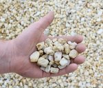 taunus_kwarts_8_16_mm_hand_1