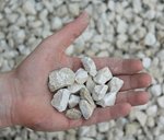 yellow_sun_split_10_20_mm_hand